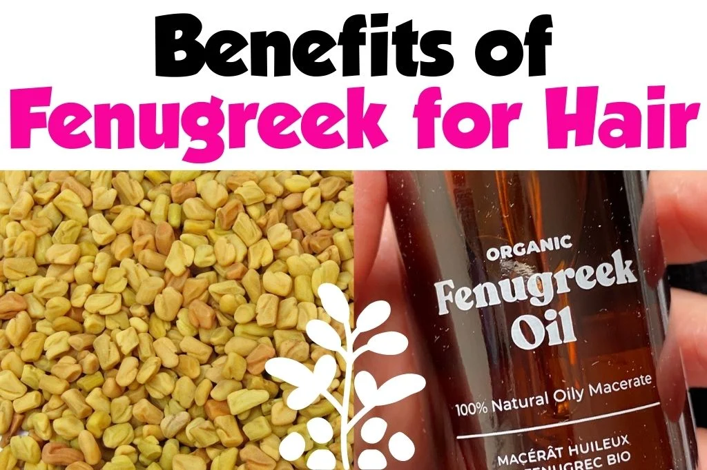fenugreek for hair growth 1