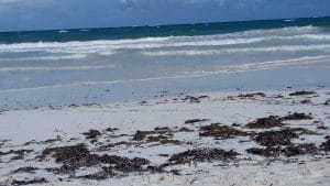 What I Chose Instead