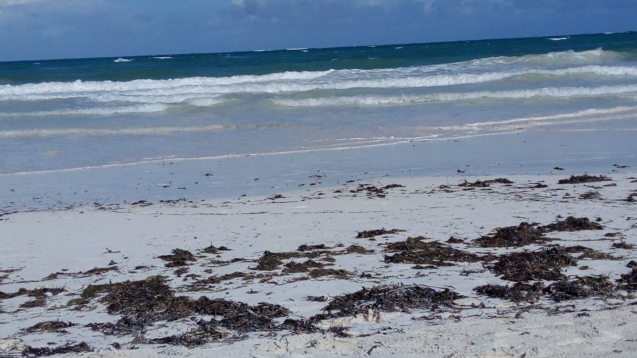 What I Chose Instead