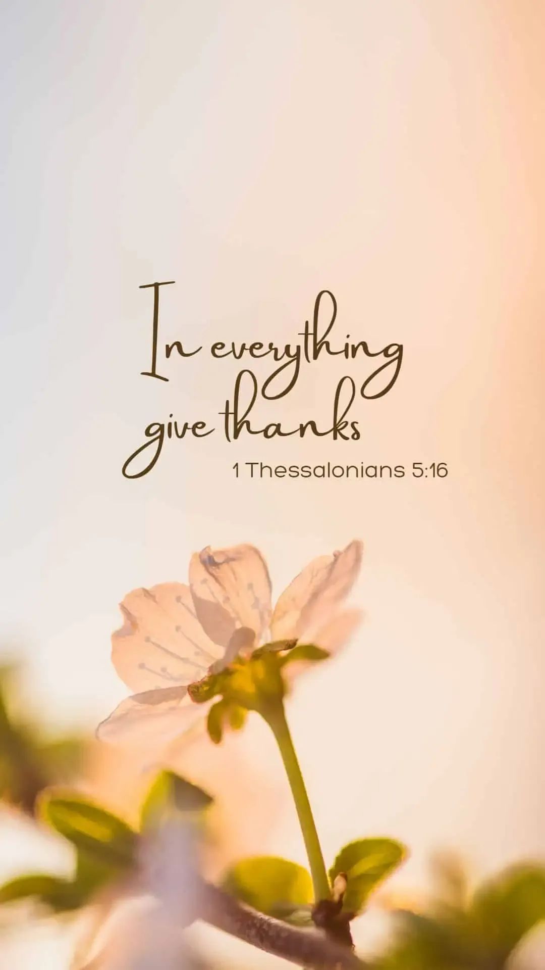 A Gratitude Letter for Abundance